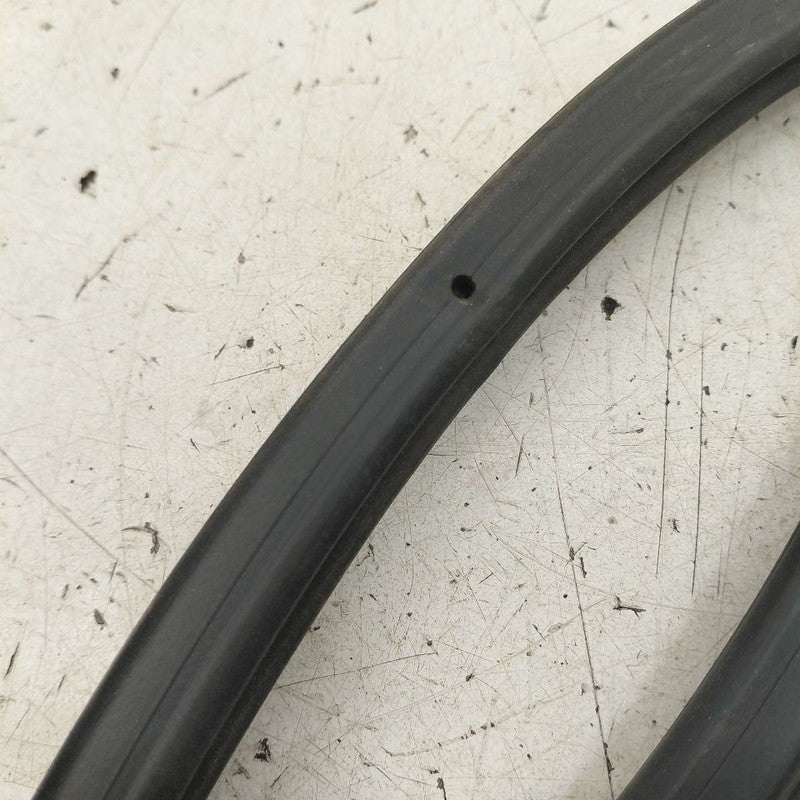 Hyundai Veloster On Door Seal Rubber Right Passenger Rear Back  2017 2