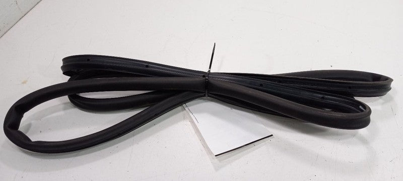 Chevy Cruze On Door Seal Rubber Left Rear Back 2019  OEM