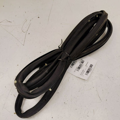 Ford Ecosport On Door Seal Rubber Left Driver Front  2020 2021 2022 OE