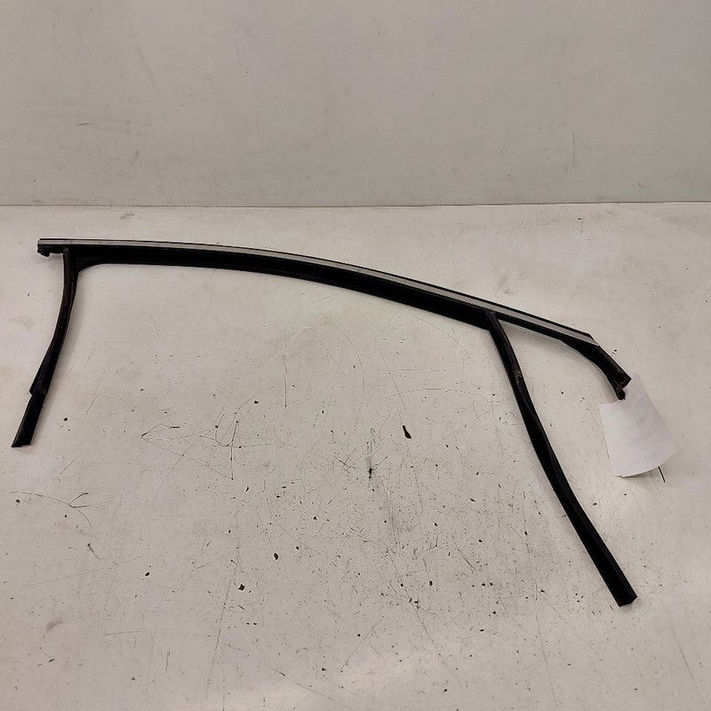 Kia Sorento Door Glass Window Seal Rubber Right Passenger Front  2018 