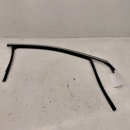 Kia Sorento Door Glass Window Seal Rubber Right Passenger Front  2018 