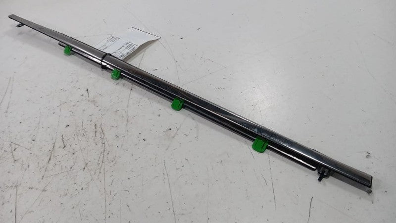 Acura RDX Door Glass Window Weather Strip Trim Rear Right Passenger Si