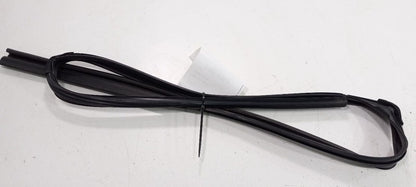 Acura TSX Door Glass Window Seal Rubber Left Rear Back 2014 2013 2012 11