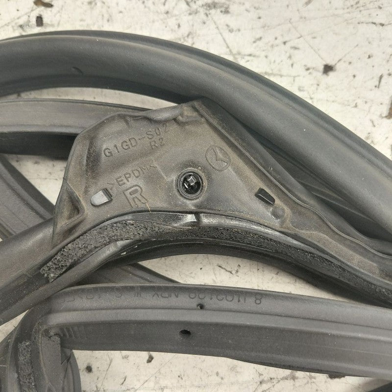 Mazda 6 On Door Seal Rubber Right Passenger Rear Back  2018 2019 2020 
