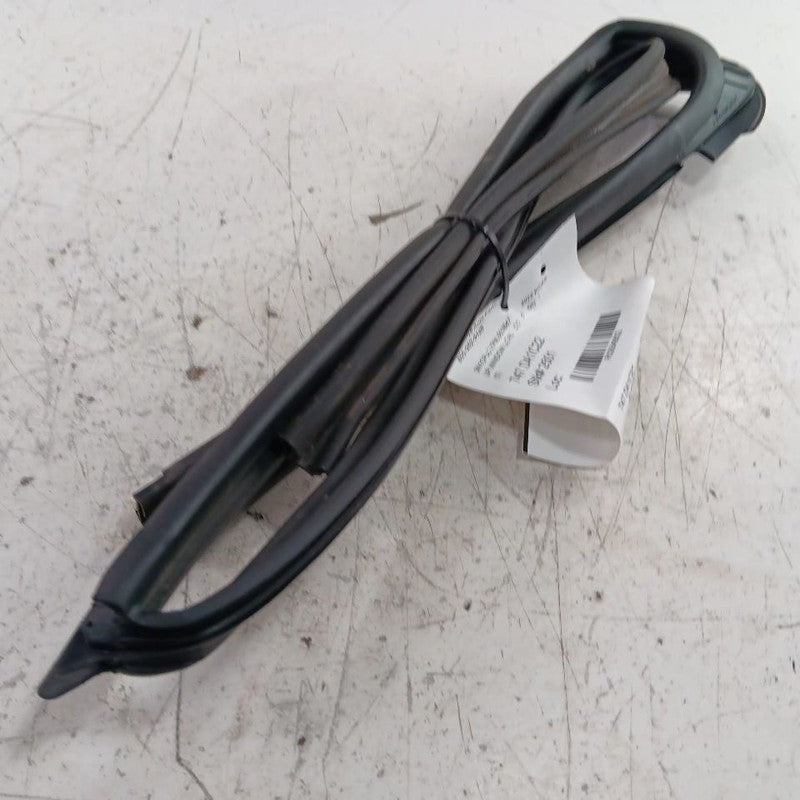 Nissan Kicks Door Glass Window Seal Rubber Left Rear Back  2021 2022 2023