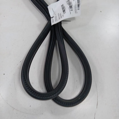 Ford Ecosport On Body Door Jamb Seal Rear Left Driver Back  2018 2019 