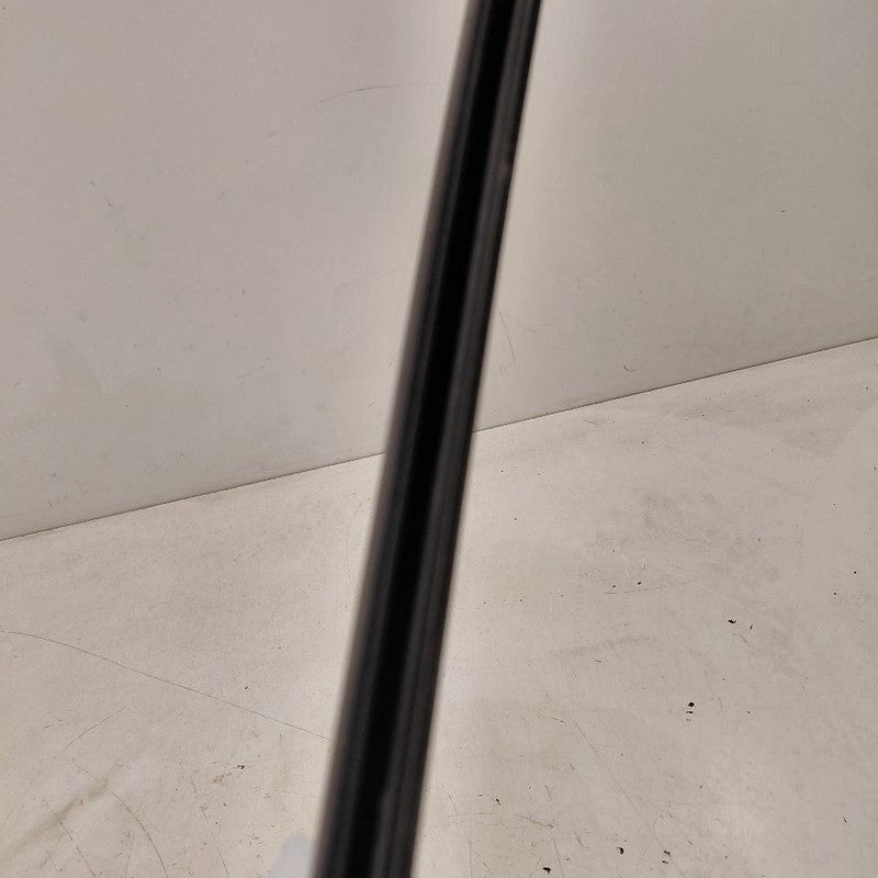 Chevy Trax Door Glass Window Weather Strip Trim Rear Left Driver Back 