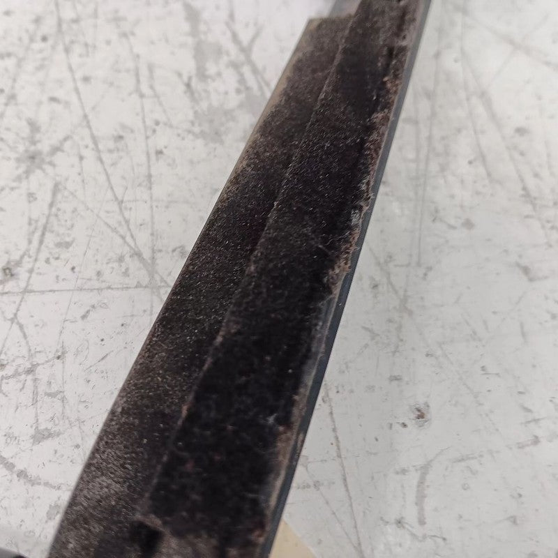 Nissan Maxima Door Glass Window Weather Strip Trim Rear Left Back 13