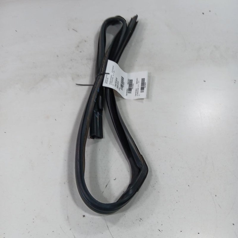 Ford Ecosport Door Glass Window Seal Rubber Left Driver Front  2018 20