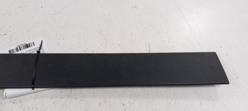 Subaru Tribeca Door Molding Trim Strip Left Side Rear Back 2010 2011 2