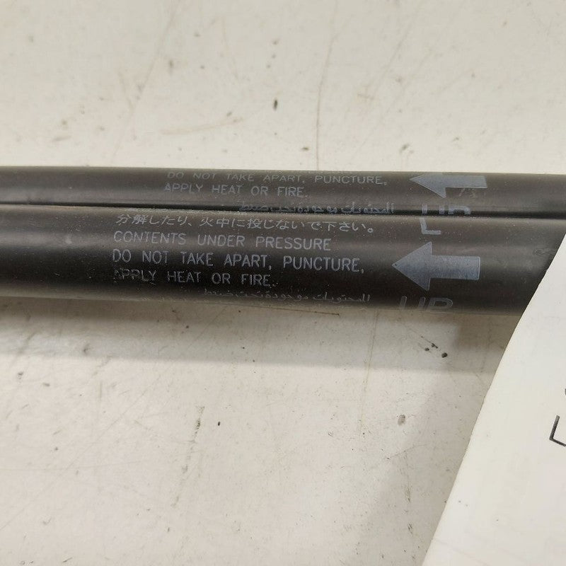 Nissan Maxima Hood Strut Shock Support  2018 2017 2016 OEM