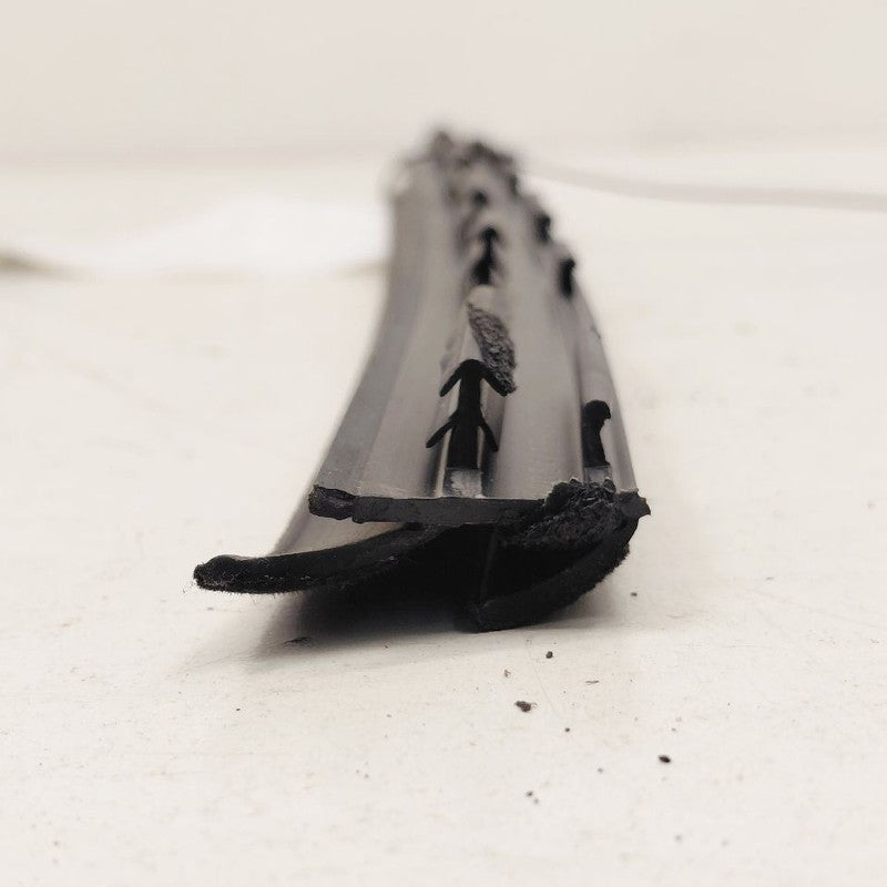 Nissan Maxima Left Rear Weather Strip Interior  2018 2017 2016 OEM