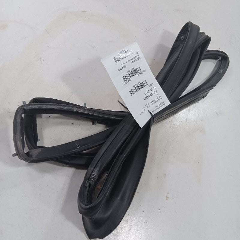 Buick Encore On Door Seal Rubber Right Passenger Rear Back  2022 2021 
