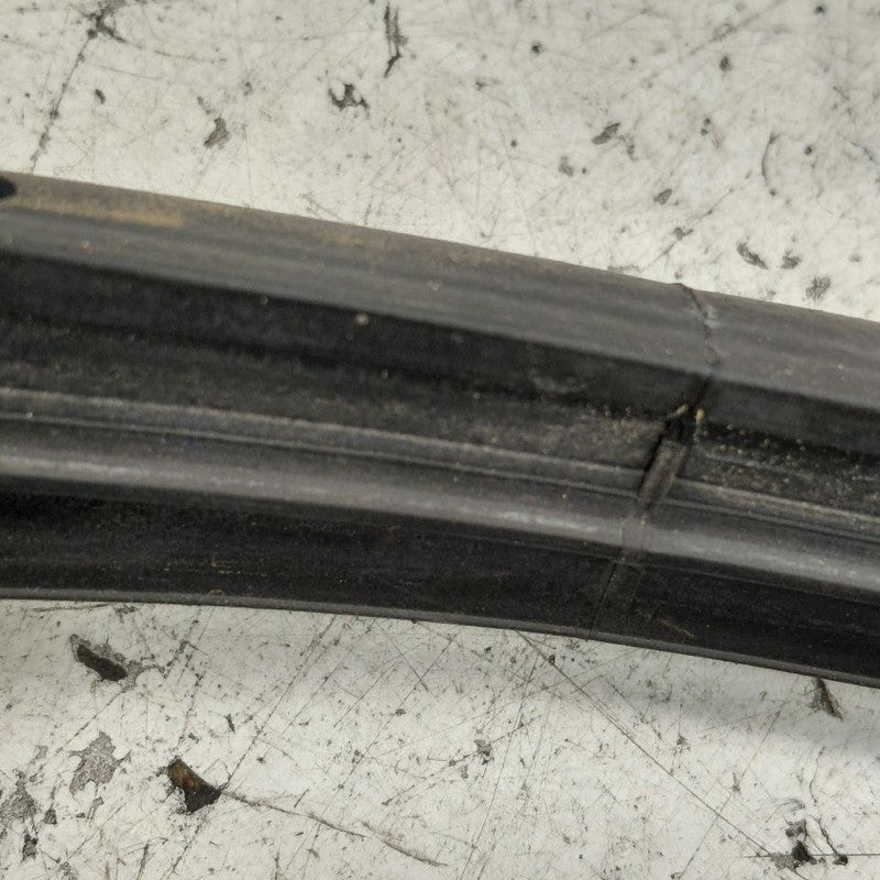 Cadillac CT6 On Door Seal Rubber Left Driver Rear Back  2018 2017 2016