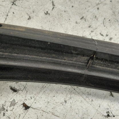 Cadillac CT6 On Door Seal Rubber Left Driver Rear Back  2018 2017 2016