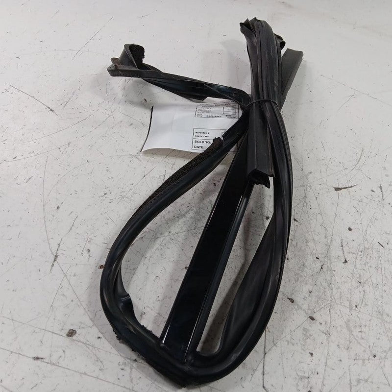 Ford Taurus Door Glass Window Seal Rubber Left Rear Back  2019 2018 20