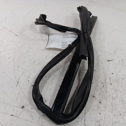 Ford Taurus Door Glass Window Seal Rubber Left Rear Back  2019 2018 20