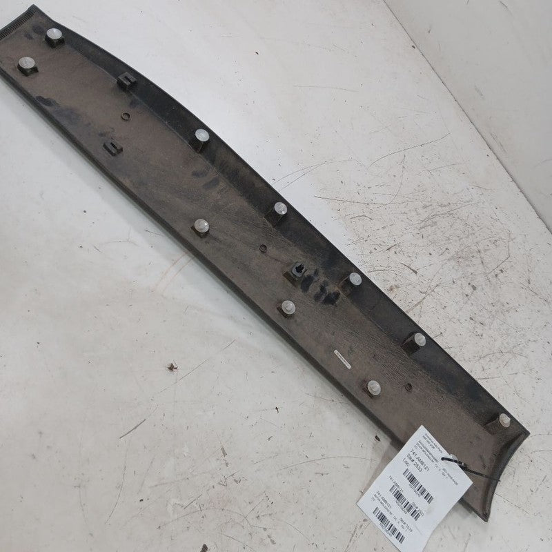 Jeep Renegade Door Molding Trim Strip Right Passenger Side Front 2023 