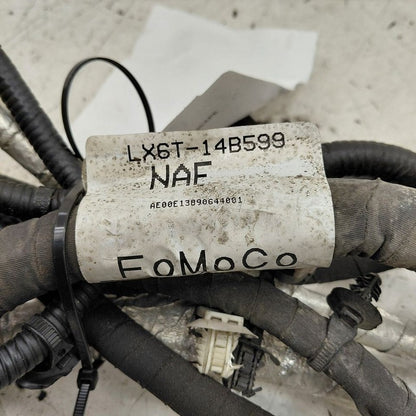 Ford Escape Rear Subframe Wire Harness {LX6T14B599} 2020 2021 2022