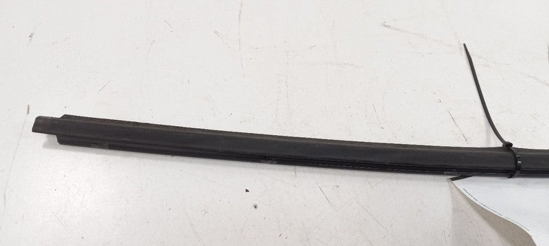 Hyundai Veloster Door Glass Window Weather Strip Trim Rear Right Passe