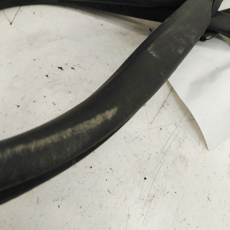 Ford Escape On Body Door Jamb Seal Rear Left Driver Back  2022 2023 20