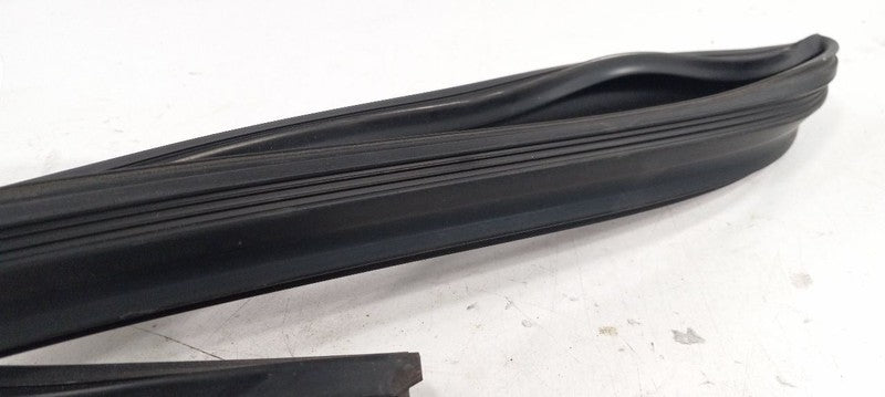 Hyundai Santa Fe Door Glass Window Seal Rubber Left Rear Back 2017 201