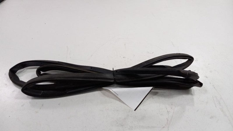 Nissan Maxima On Door Seal Rubber Right Passenger Rear Back 2004 2005 