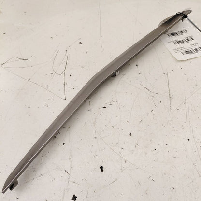 Ford Ecosport Passenger Right Front Door Trim {GN15A24184} 2020 2021 2