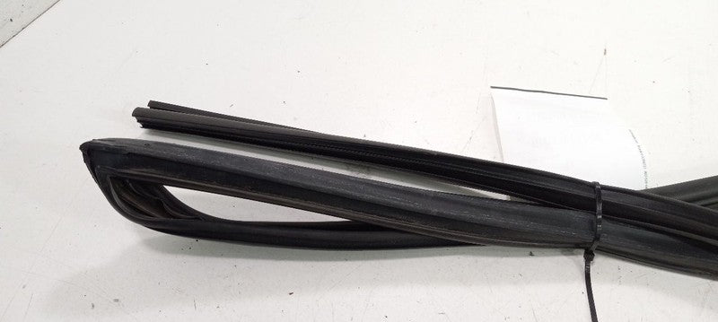 Cadillac CTS Door Glass Window Seal Rubber Left Front Driver 2011 2012 2013