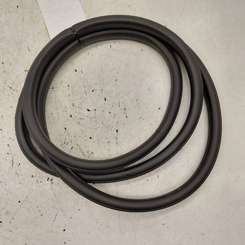 Cadillac CT6 On Body Door Jamb Seal Gasket Front Left Driver  2018 201