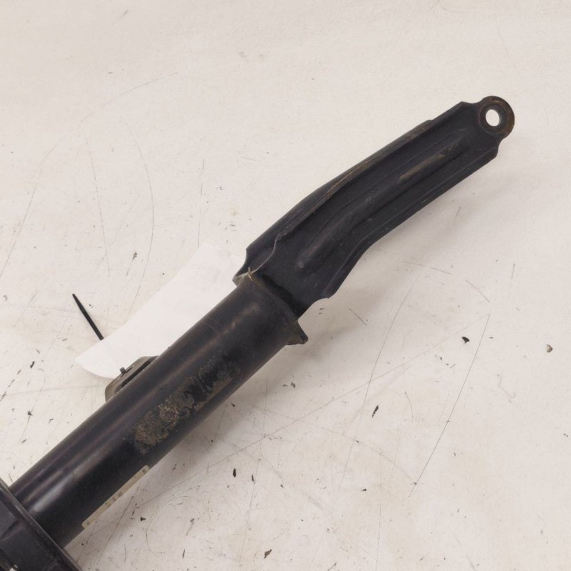 Driver Left Front Strut Fits 18-24 Alfa Romeo Stelvio