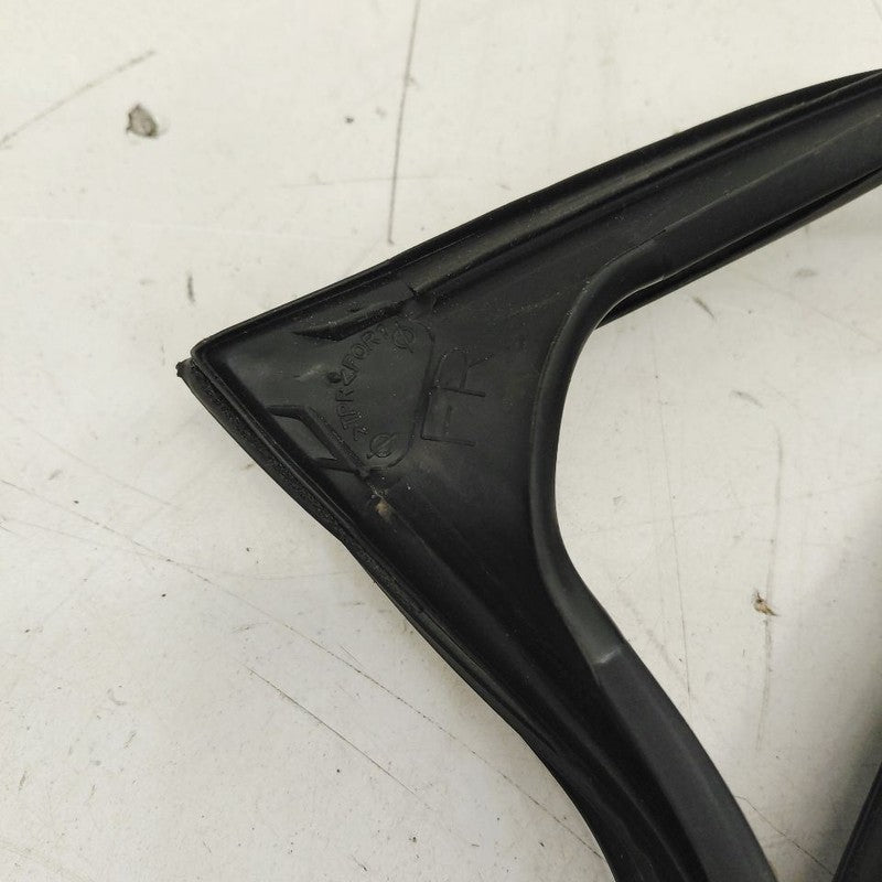 Nissan Rogue Door Glass Window Seal Rubber Right Passenger Front  2017