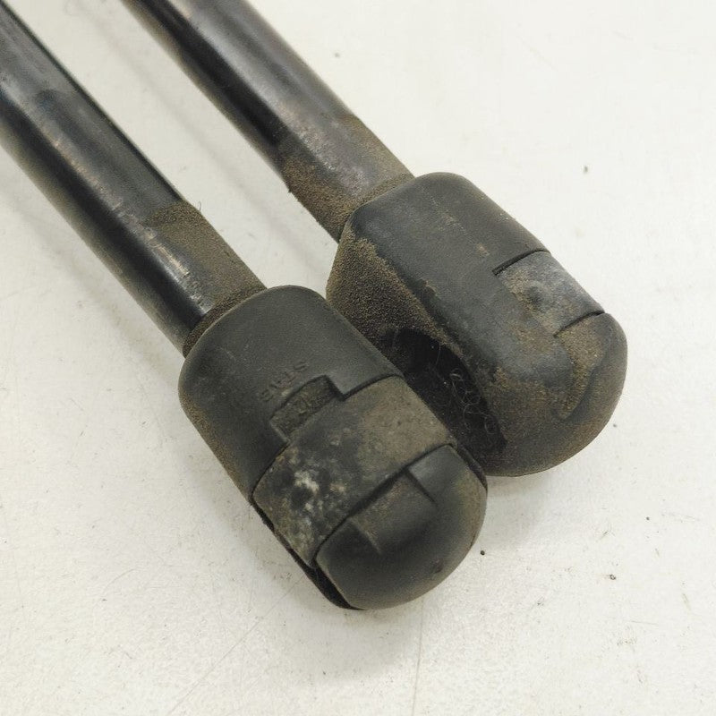 Ford Escape Hatchback Hatch Back Trunk Lid Shock Strut Support  2022 2