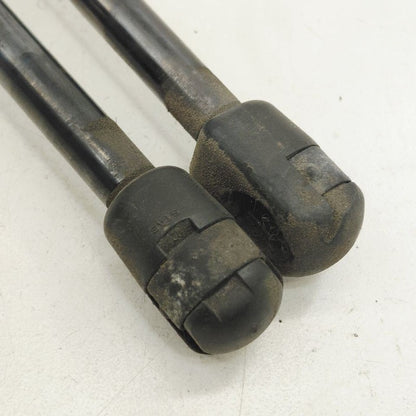 Ford Escape Hatchback Hatch Back Trunk Lid Shock Strut Support  2022 2