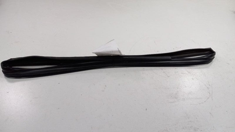 Nissan Maxima Door Glass Window Seal Rubber Right Passenger Front 2004