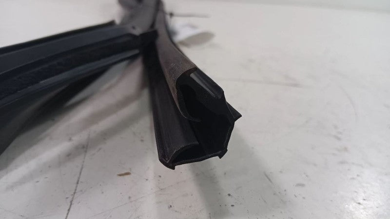 Nissan Rogue Door Glass Window Seal Rubber Left Rear Back  2014 2015 2016