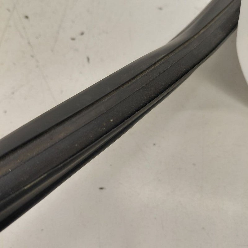 Chevy Volt Door Glass Window Seal Rubber Left Driver Front  2016 2017 