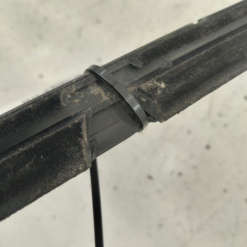 Chevy Volt Door Glass Window Weather Strip Trim Rear Right Passenger S