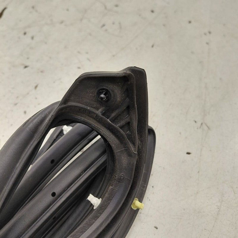 Mitsubishi Mirage On Door Seal Rubber Left Driver Rear Back  2024 2023