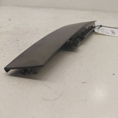 Chevy Volt Driver Left Front Door Applique {23323963} 2016 2017 2018 2