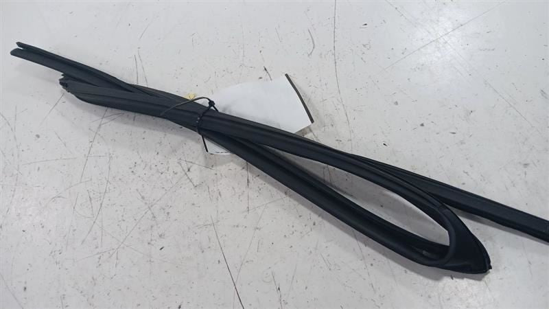 Subaru Impreza Door Glass Window Seal Rubber Left Rear Back 2024 OEM