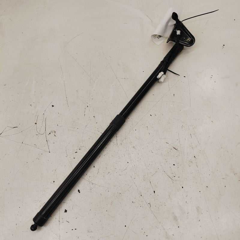 Honda CR-V Driver Left Hatchback Hatch Back Trunk Lid Shock Strut Supp