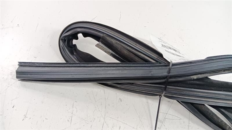Buick Lacrosse Door Glass Window Seal Rubber Left Driver Front 2013 2014 2015 20