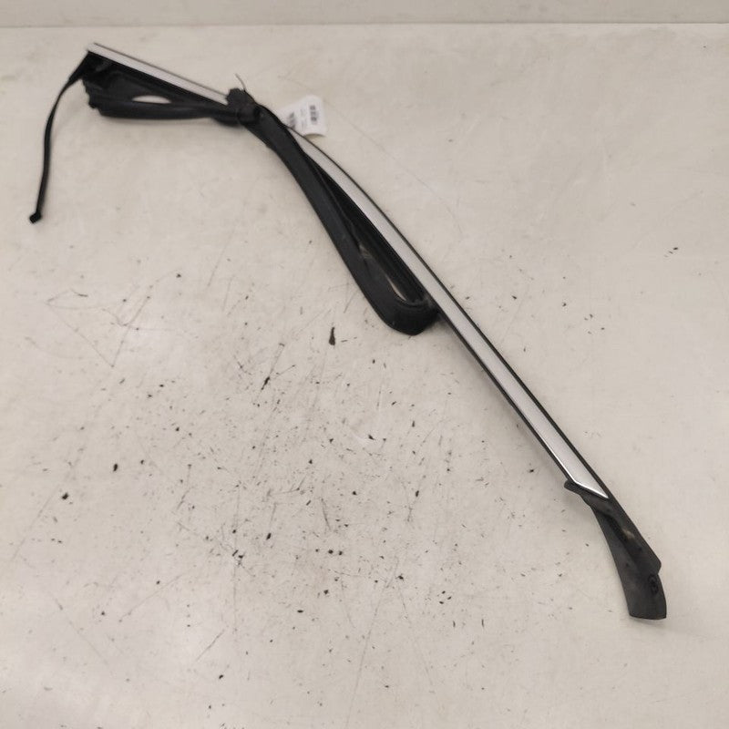 Cadillac CT6 Door Glass Window Seal Rubber Right Passenger Front  2018