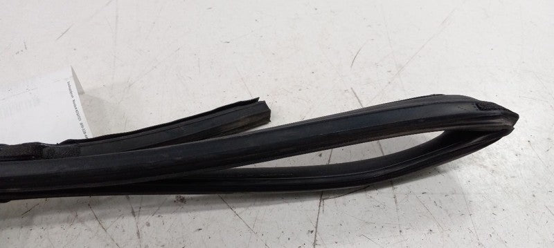 Hyundai Sonata Door Glass Window Seal Rubber Left Rear Back 2011 2012 