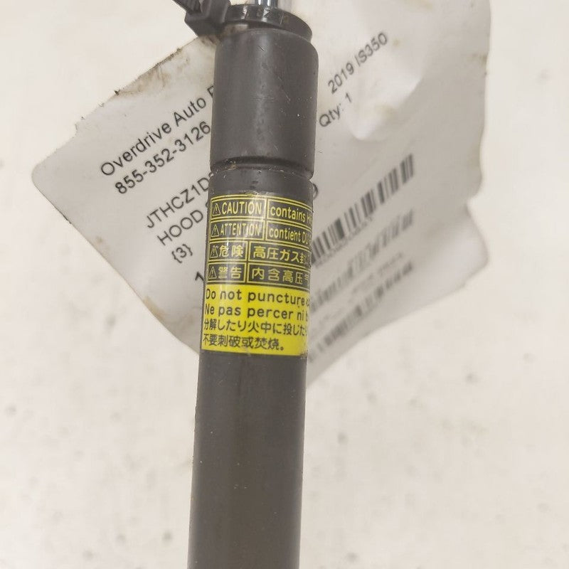 Lexus IS350 Hood Strut Shock Support  2020 2019 2018