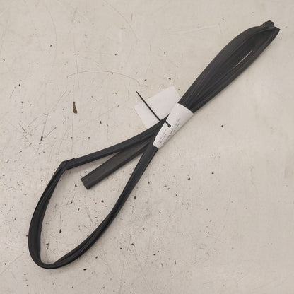 Hyundai Kona Door Glass Window Seal Rubber Left Driver Front  2021 202