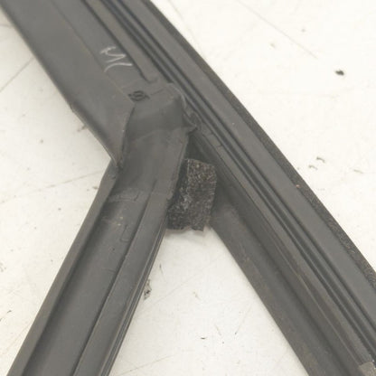 2018 Fiat 500 X Model Door Glass Window Seal Rubber Left Driver Front