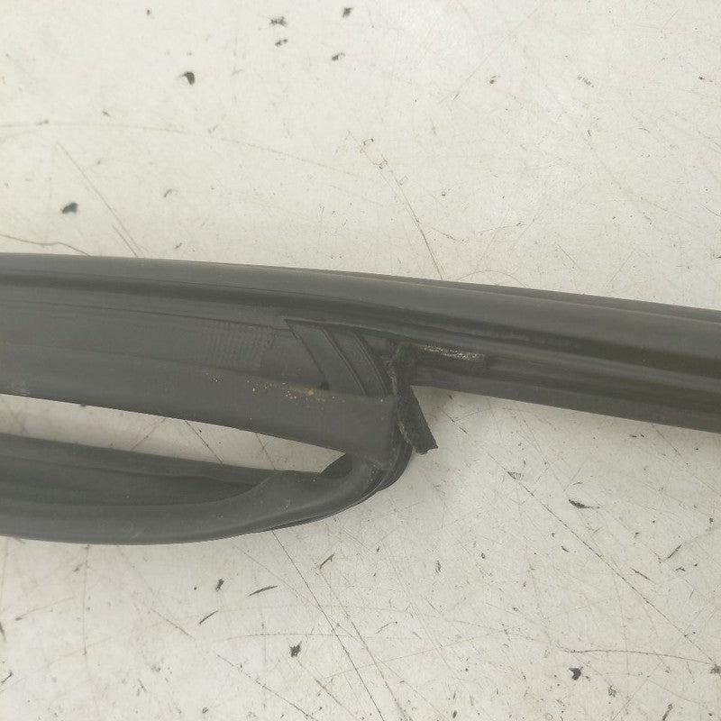Hyundai Santa Fe Door Glass Window Seal Rubber Left Driver Front  2019