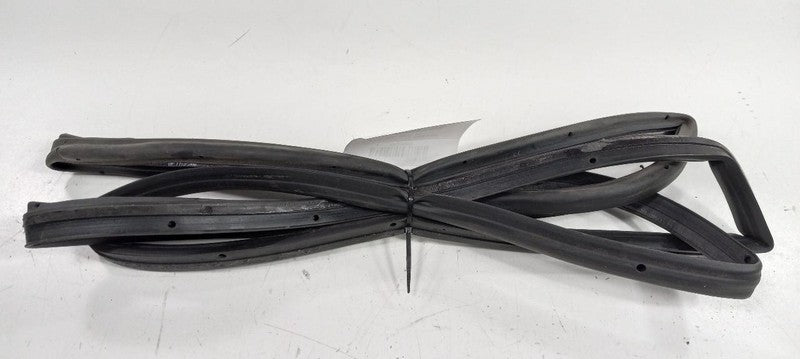 Ford Focus On Door Seal Rubber Left Rear Back 2018 2017 2016 2015 OEM